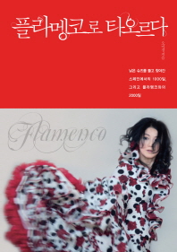 플라멩코로 타오르다 -낡은 슈즈를 들고 찾아간 스페인에서의 1000일 그리고 플라멩코와의 2000일 