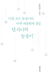 다른 모든 눈송이와 아주 비슷하게 생긴 단 하나의 눈송이 