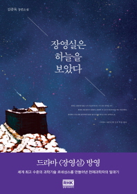 장영실은 하늘을 보았다   김종록 장편소설 