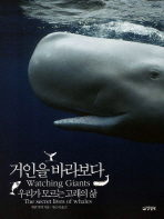 거인을 바라보다
