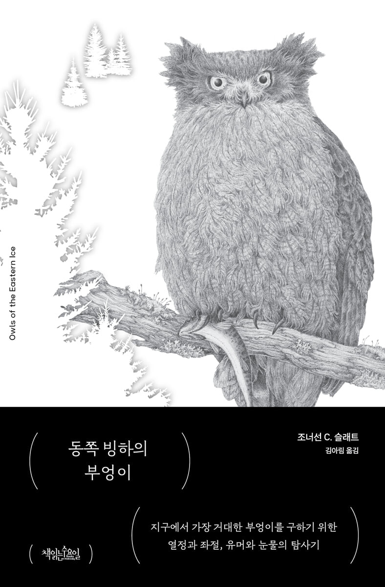 동쪽 빙하의 부엉이 