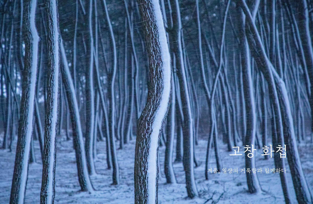 고창 화첩 : 겨울, 일상의 거룩함과 함께하다