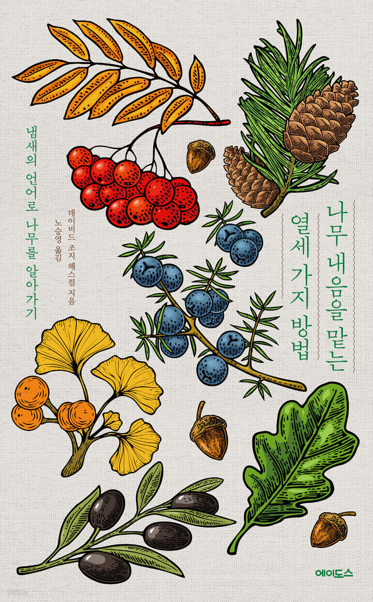 나무 내음을 맡는 열세 가지 방법 